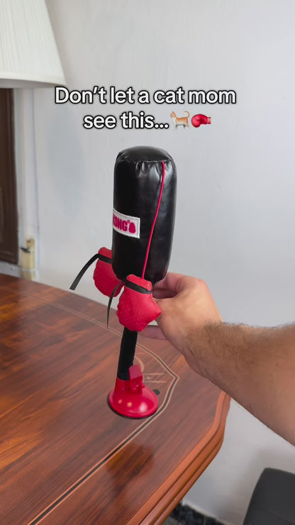 Mini Cat Punching Bag Instagram Reel 2
