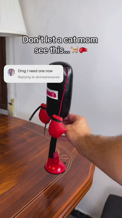 Mini Cat Punching Bag Instagram Reel 3